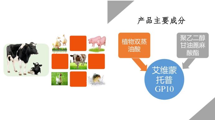 ��ϵ����